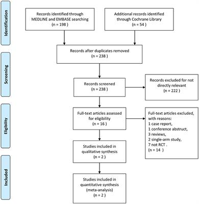 Thrombectomy with and without computed tomography perfusion imaging for large-vessel occlusion stroke in the extended time window: a meta-analysis of randomized clinical trials